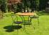 wrought iron garden dining chair and table